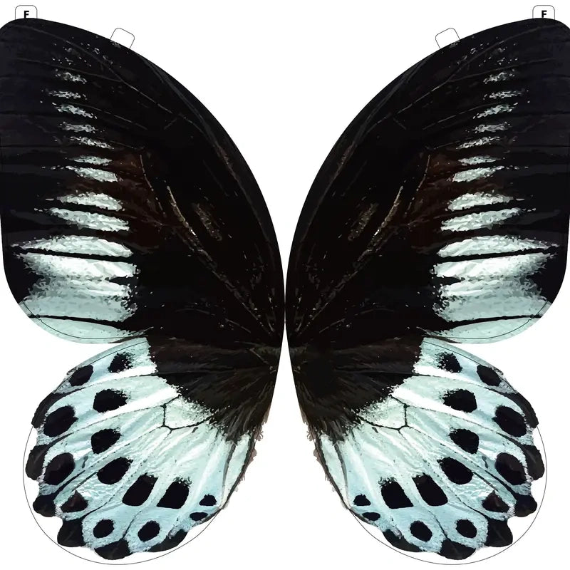 A Butterfly in Flight, Inspired by Nature