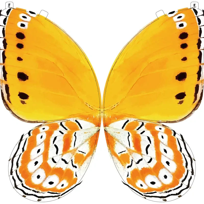 A Butterfly in Flight, Inspired by Nature