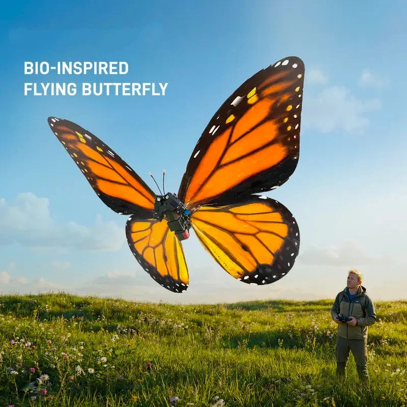 A Butterfly in Flight, Inspired by Nature
