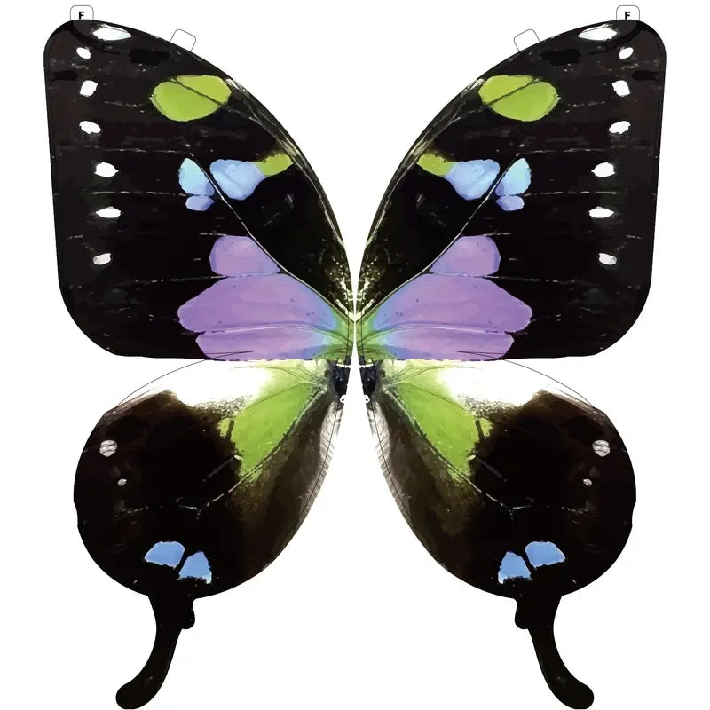 A Butterfly in Flight, Inspired by Nature