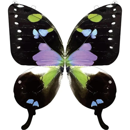 A Butterfly in Flight, Inspired by Nature