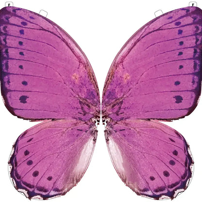 A Butterfly in Flight, Inspired by Nature