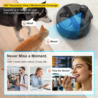Automatic Cat Food Dispenser with Semiconductor Cooling Technology