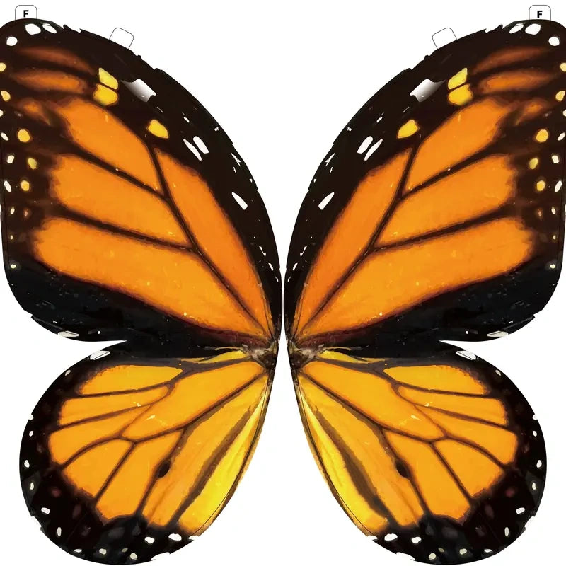 A Butterfly in Flight, Inspired by Nature