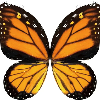 A Butterfly in Flight, Inspired by Nature