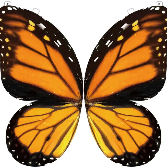 A Butterfly in Flight, Inspired by Nature