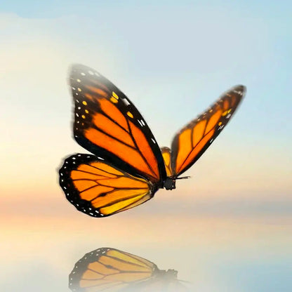 A Butterfly in Flight, Inspired by Nature