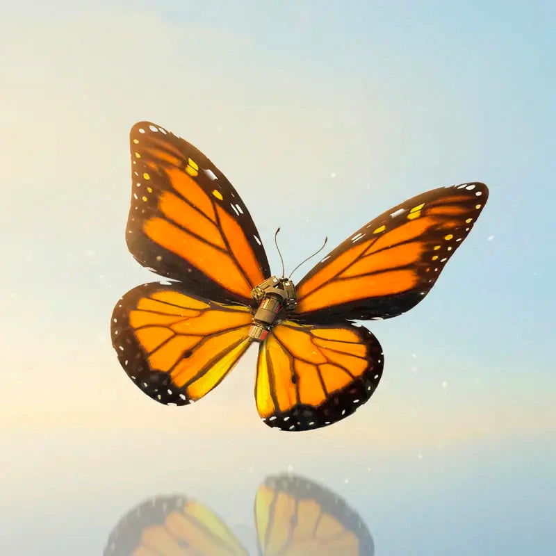 A Butterfly in Flight, Inspired by Nature